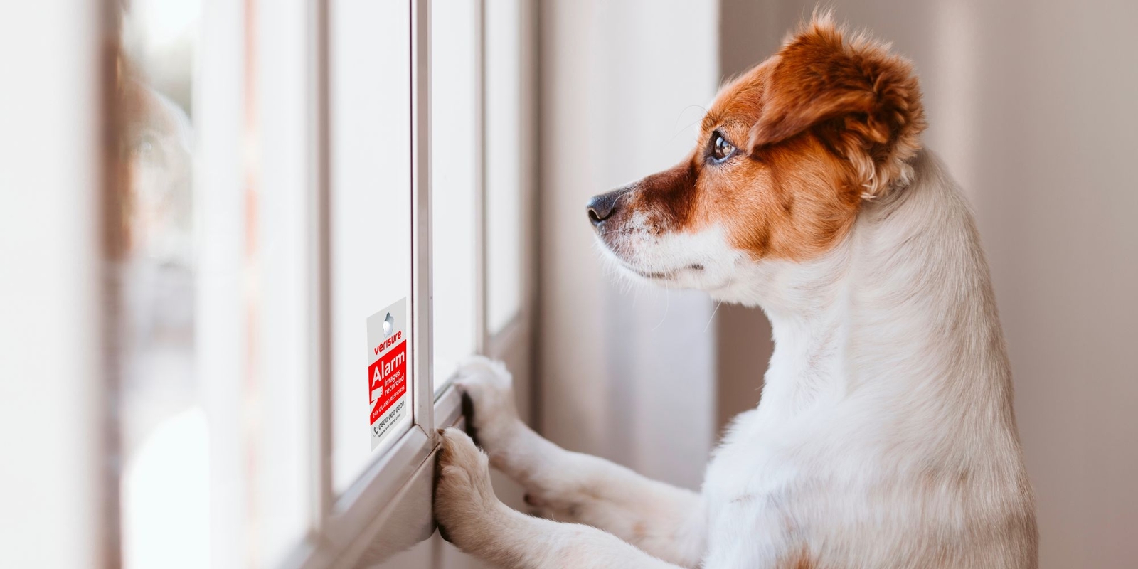 Verisure Burglar Alarms Hero