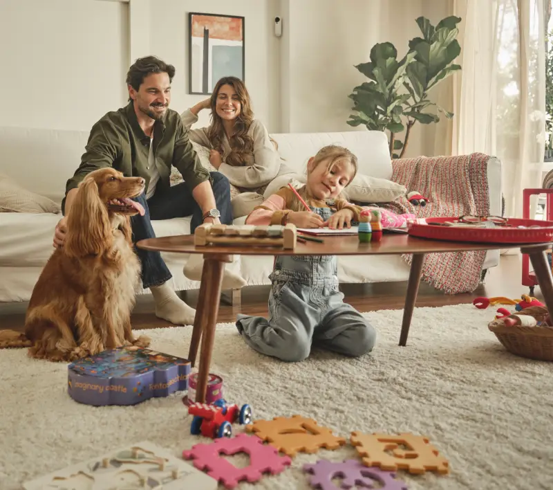 Home Alarm Systems