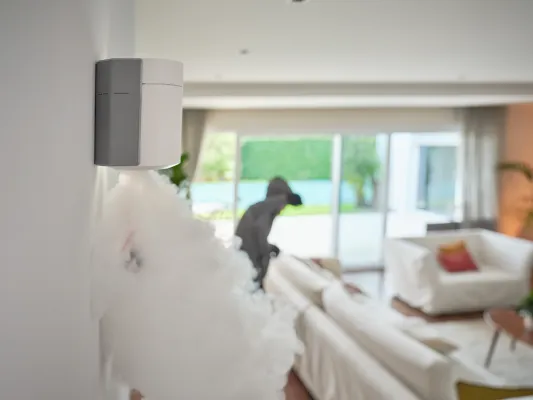 ZeroVision deployed at home