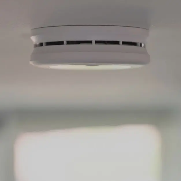 Monitored Alarm Icon